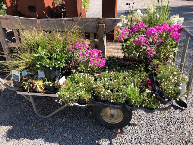 Garten1