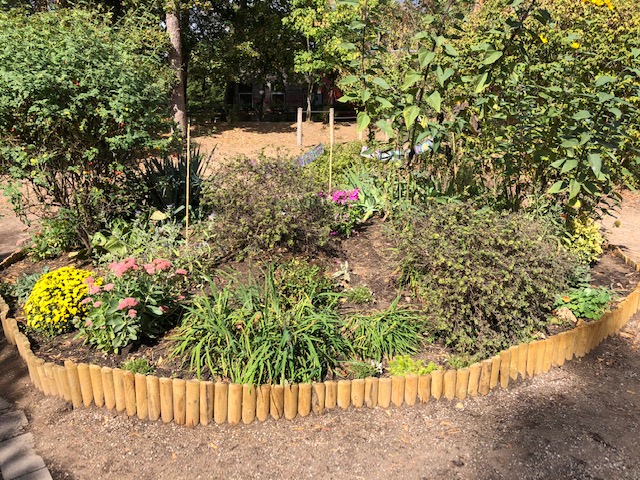 Garten2
