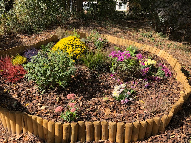 Garten4
